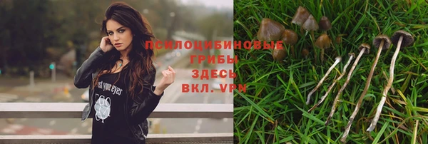 mdma Дмитров