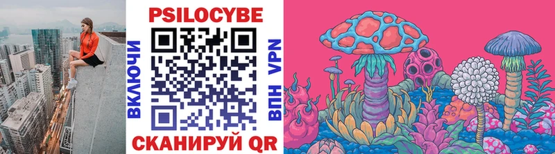 hydra зеркало  где купить наркоту  Светлогорск  Галлюциногенные грибы мицелий 